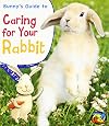Bunny's Guide to Caring for Your Rabbit (Heinemann First Library: Pets' Guides)