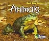 Animals (Acorn: Real Size Science)