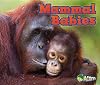 Mammal Babies (Acorn: Animal Babies)