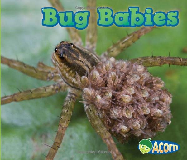 Cover of Bug Babies