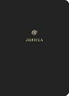 Joshua (ESV)