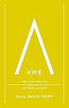 Awe: Why It Matters for Everything We Think, Say, and Do