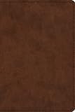 Esv Study Bible Personal Size Trutone Brown