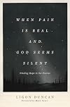 When Pain Is Real and God Seems Silent: Finding Hope in the Psalms