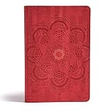 Csb Essential Teen Study Bible Red Flower Cork Leathertouch
