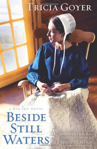 Beside Still Waters book cover