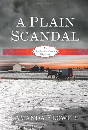 A Plain Scandal book cover