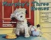Murphy's Three Homes: A Story for Children in Foster Care