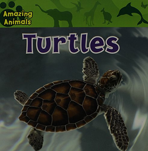 Cover of Turtles
