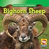 Bighorn Sheep (Animals That Live in the Mountains)