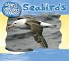 Seabirds