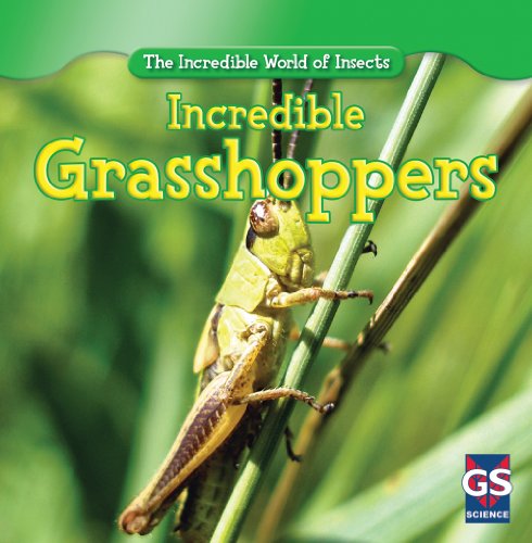 Cover of Incredible grasshoppers