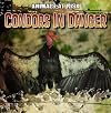 Condors in Danger (Animals at Risk)