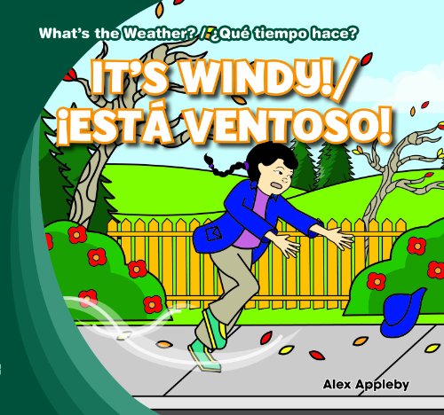 Cover of It's windy!