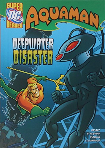Cover of Deepwater disaster
