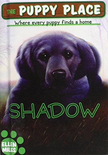 Shadow book cover