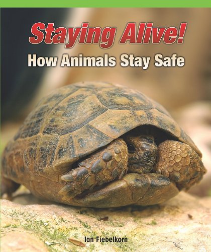 Cover of Staying Alive! How Animals Stay Safe