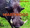 Warthogs (Safari Animals)