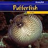 Pufferfish (Freaky Fish)