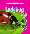 The Life Cycle of a Ladybird (Learning About Life Cycles)