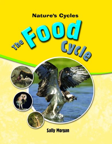 Cover of The Food Cycle