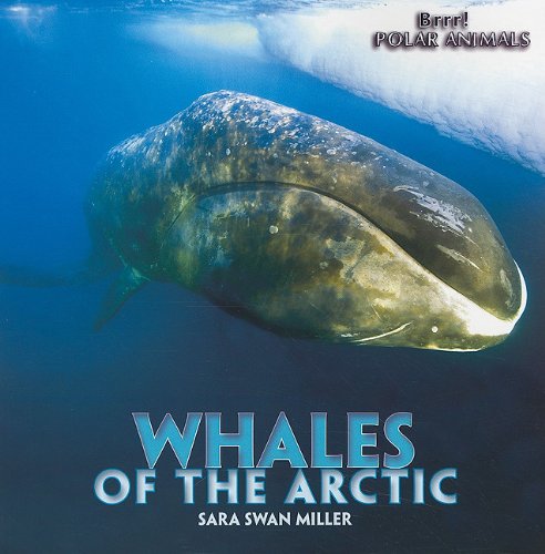 Cover of Whales of the Arctic