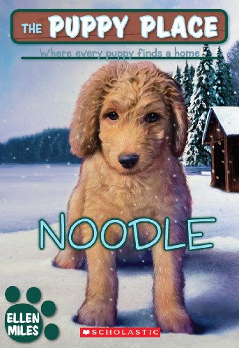 Noodle book cover