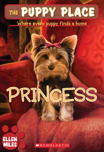 Princess book cover