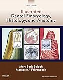 Illustrated Dental Embryology Histology And Anatomy