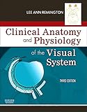 Clinical Anatomy And Physiology Of The Visual System