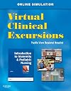 Virtual Clinical Excursions 3.0 for Introduction to Maternity and Pediatric Nursing, 6e