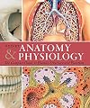 Pocket Anatomy & Physiology: The Compact Guide to the Human Body and How It Works
