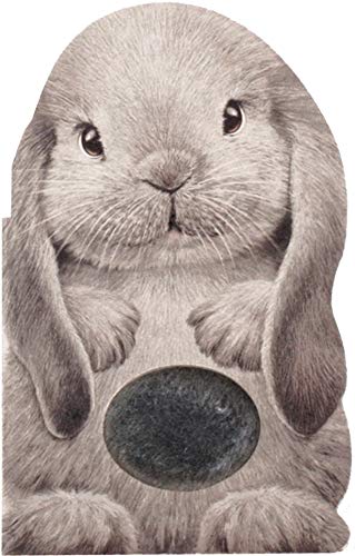 Cover of Furry Bunny
