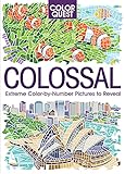 Color Quest: Colossal: An Adult Activity Book