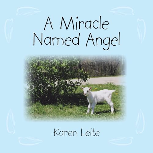 Cover of Miracle Named Angel