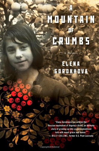 A Mountain of Crumbs book cover