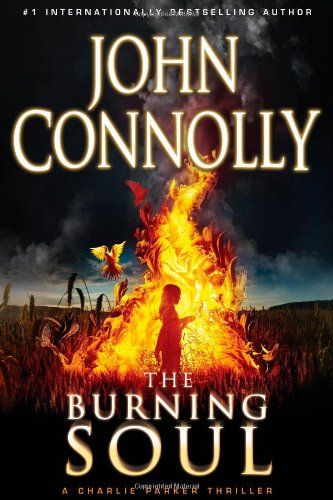 The Burning Soul book cover