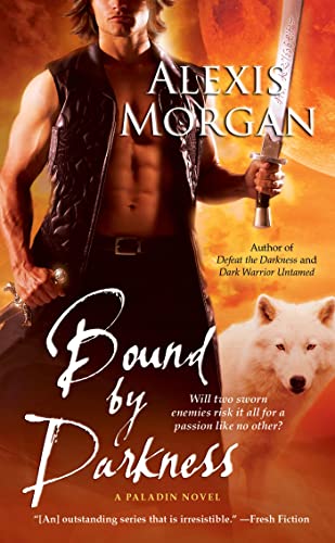 Bound by Darkness book cover