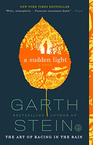 A Sudden Light book cover