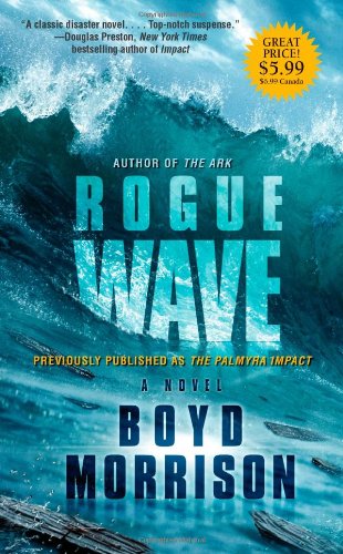 Rogue Wave / The Palmyra Impact cover