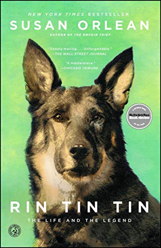 Rin Tin Tin book cover