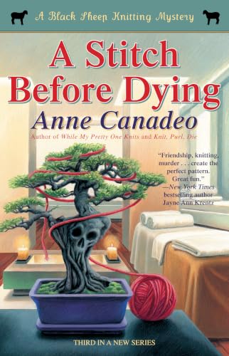 A Stitch Before Dying book cover