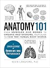 Anatomy 101: From Muscles and Bones to Organs and Systems, Your Guide to How the Human Body Works