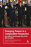 Emerging powers in a comparative perspective : the political and economic rise of the BRIC countries