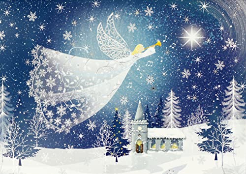 PETER PAUPER PRESS Tidings of Joy Deluxe Boxed Holiday Cards (20 Cards and 21 Self-sealing Envelopes)