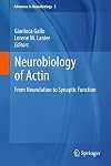 Neurobiology of Actin: From Neurulation to Synaptic Function (Advances in Neurobiology Book 5)