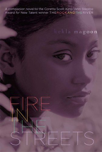 Fire in the Streets book cover