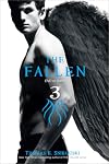 The Fallen 3: End of Days (3)