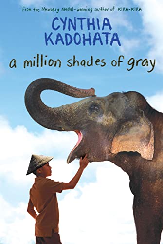 A Million Shades of Gray book cover