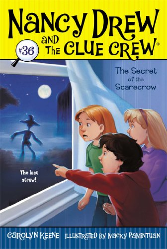 The Secret of the Scarecrow cover
